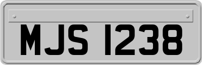 MJS1238