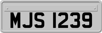 MJS1239