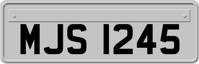 MJS1245