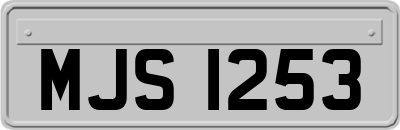 MJS1253