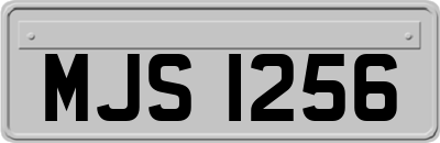 MJS1256