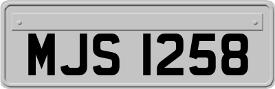 MJS1258