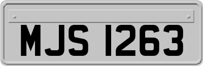 MJS1263