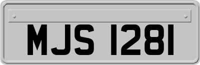 MJS1281