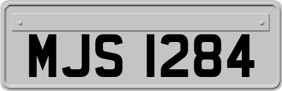 MJS1284