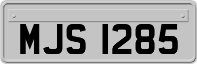 MJS1285