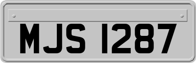 MJS1287