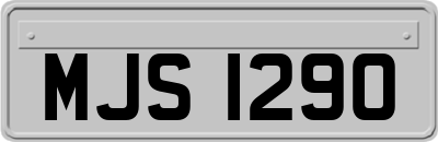 MJS1290
