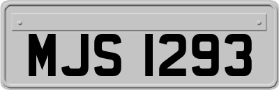 MJS1293