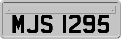 MJS1295