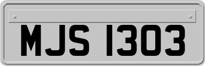 MJS1303