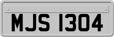 MJS1304