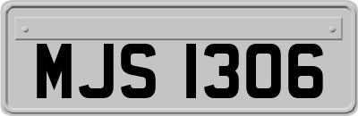 MJS1306