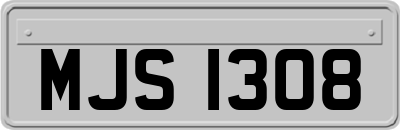 MJS1308