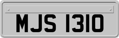 MJS1310
