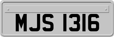 MJS1316