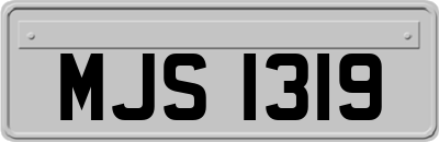 MJS1319