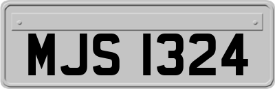 MJS1324