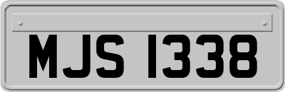 MJS1338