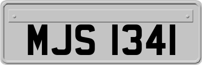 MJS1341