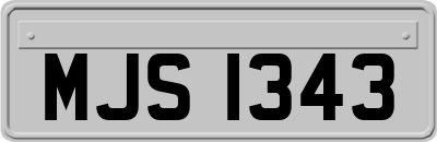 MJS1343