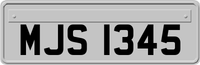 MJS1345