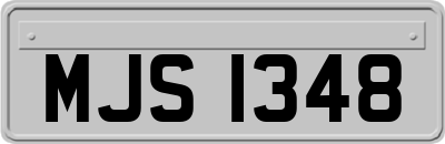 MJS1348