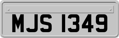 MJS1349