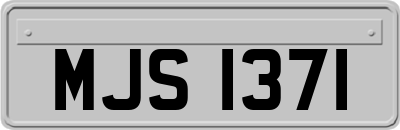 MJS1371