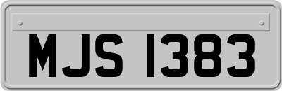 MJS1383