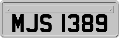 MJS1389