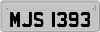 MJS1393
