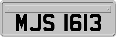 MJS1613