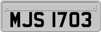MJS1703