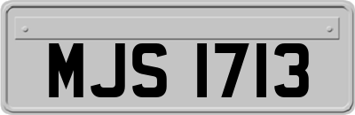 MJS1713
