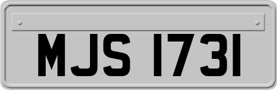 MJS1731