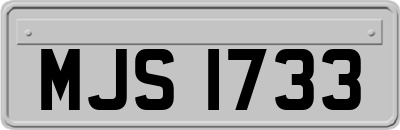 MJS1733