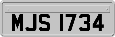 MJS1734