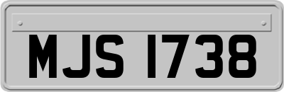 MJS1738