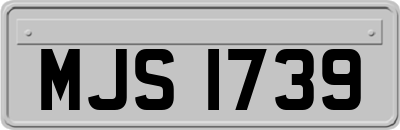 MJS1739