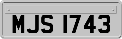 MJS1743