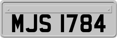 MJS1784