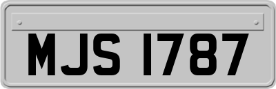 MJS1787