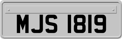 MJS1819