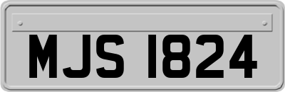 MJS1824