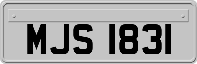 MJS1831