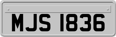 MJS1836
