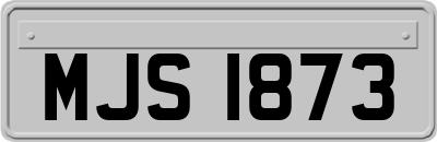MJS1873