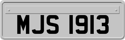 MJS1913