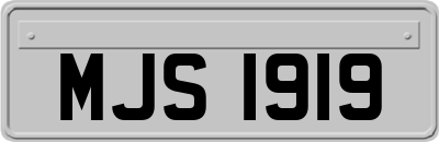 MJS1919